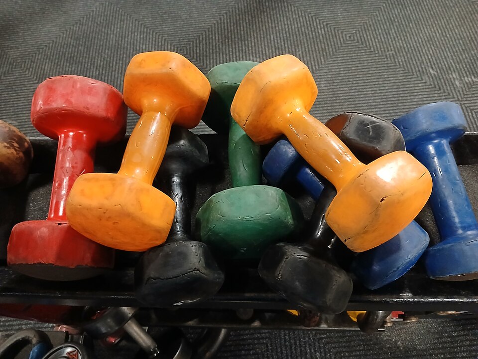 Adjustable Dumbbell Set — Model 003 — ShopOfBD Bangladesh