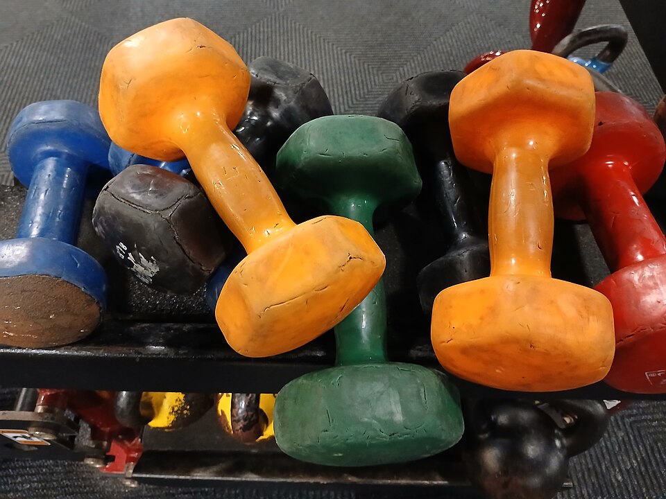 Adjustable Dumbbell Set — Model 006 — ShopOfBD Bangladesh