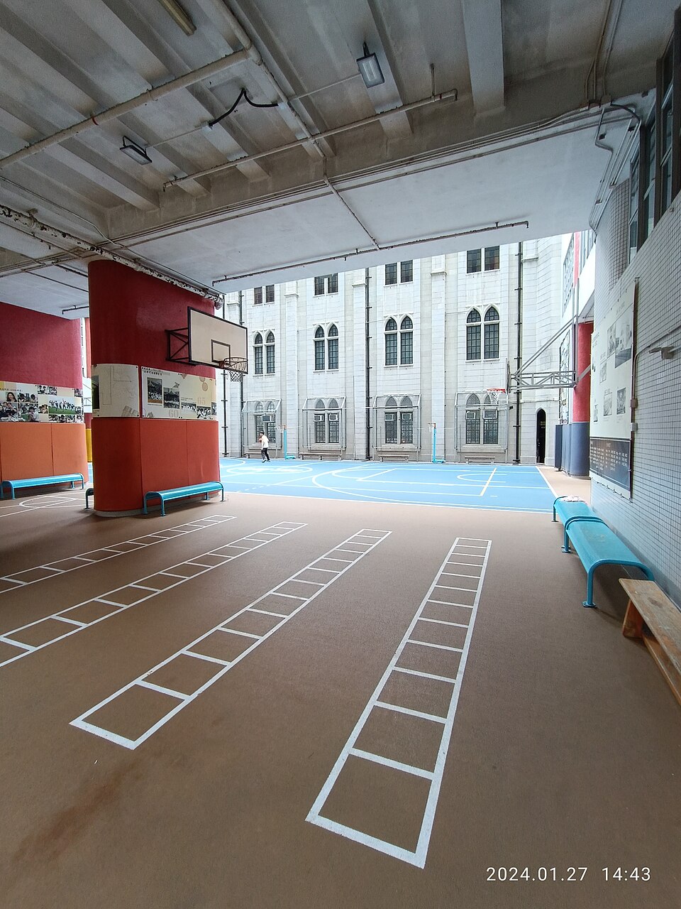 Agility Ladder — Model 007 — ShopOfBD Bangladesh