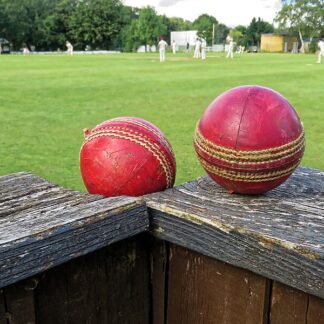 Apex Cricket Spike Shoes — Size 44 — ShopOfBD Bangladesh