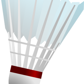 Badminton Shuttlecock (Pack of 12) — Model 003 — ShopOfBD Bangladesh