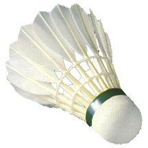 Badminton Shuttlecock (Pack of 12) — Model 005 — ShopOfBD Bangladesh