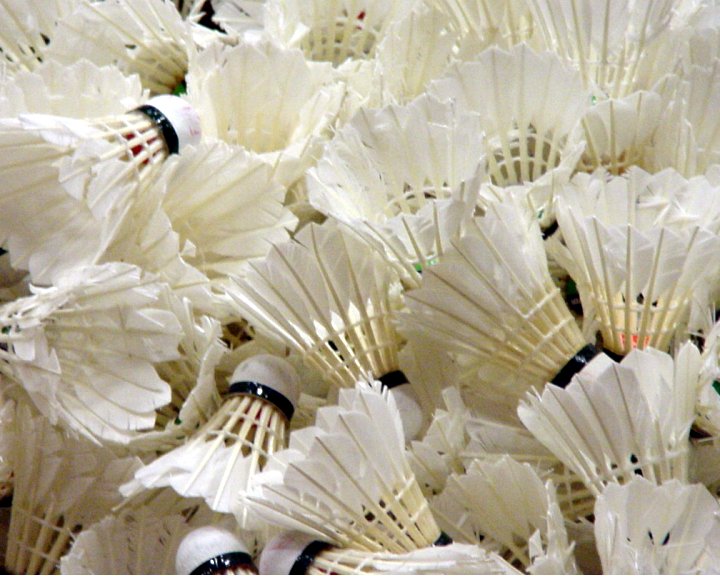 Badminton Shuttlecock (Pack of 12) — Model 009 — ShopOfBD Bangladesh