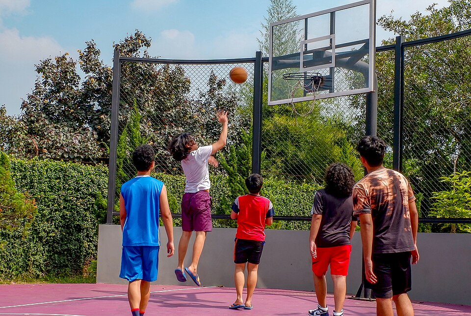 Basketball — Official Size 7 — Model 002 — ShopOfBD Bangladesh