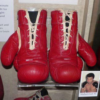 Boxing Gloves (Pair) — Model 005 — ShopOfBD Bangladesh