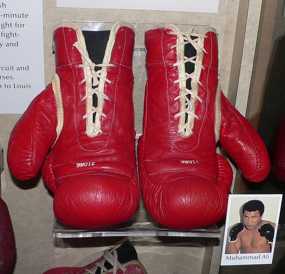 Boxing Gloves (Pair) — Model 005 — ShopOfBD Bangladesh