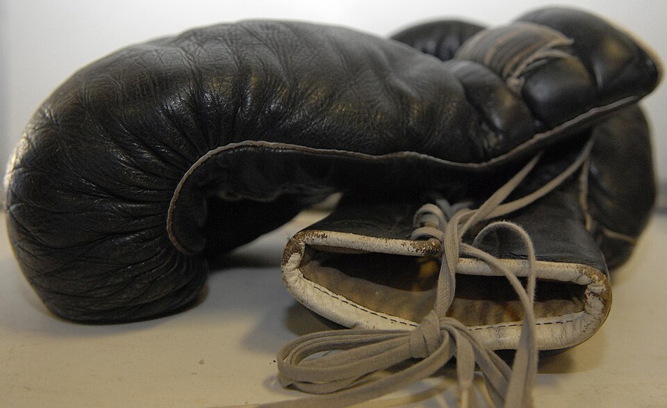 Boxing Gloves (Pair) — Model 006 — ShopOfBD Bangladesh