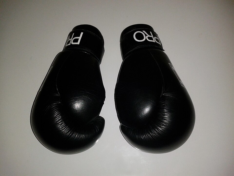 Boxing Gloves (Pair) — Model 008 — ShopOfBD Bangladesh