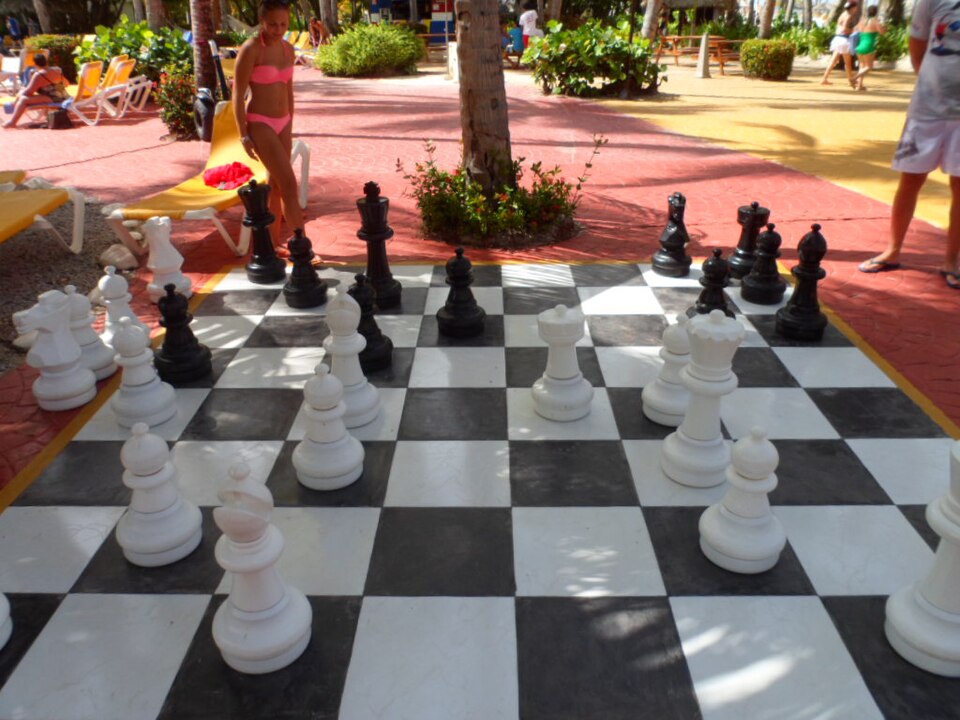 Chess Set — Tournament — Model 003 — ShopOfBD Bangladesh