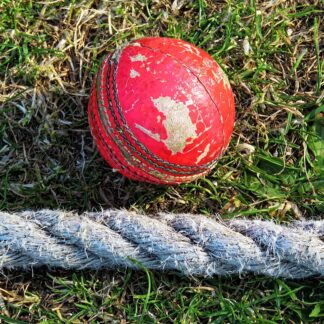 Cricket Ball Machine Balls (Pack of 12) — ShopOfBD Bangladesh