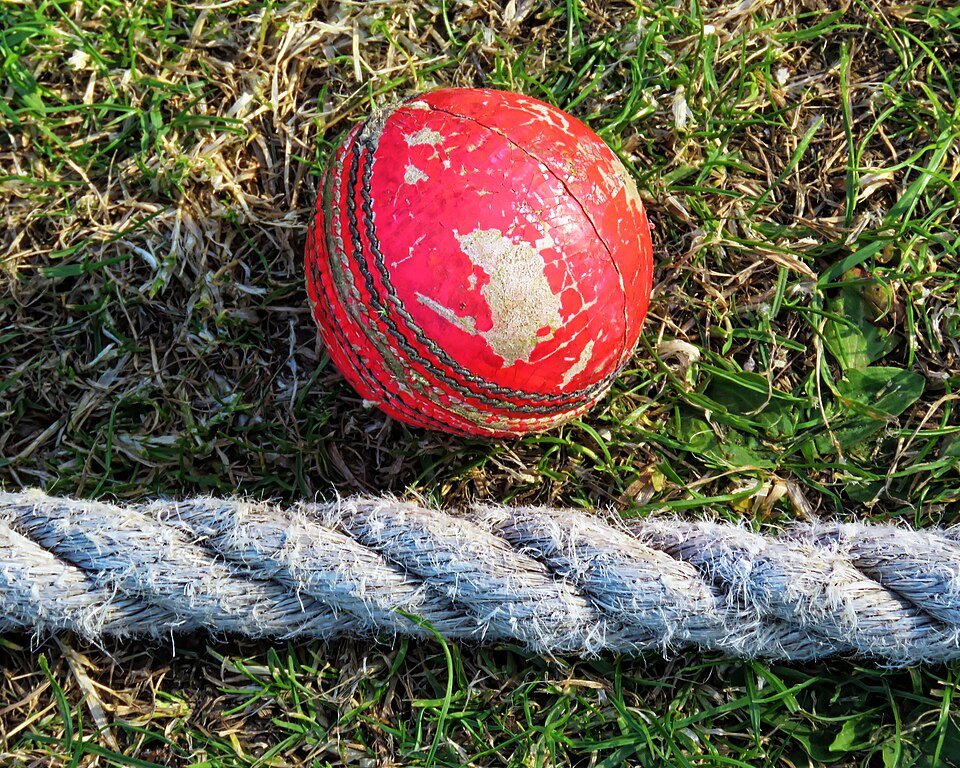Cricket Ball Machine Balls (Pack of 12) — ShopOfBD Bangladesh