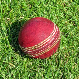 Cricket Ball Machine Balls (Pack of 12) — Model 003 — ShopOfBD Bangladesh