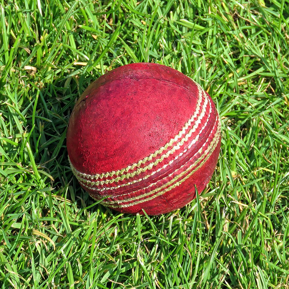 Cricket Ball Machine Balls (Pack of 12) — Model 003 — ShopOfBD Bangladesh