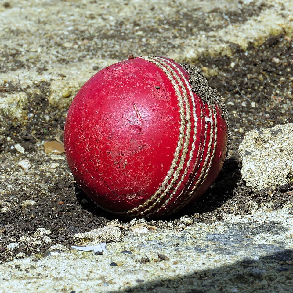 Cricket Ball Machine Balls (Pack of 12) — Model 007 — ShopOfBD Bangladesh
