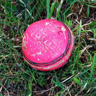 Cricket Chest Guard — Ambidextrous — Model 005 — ShopOfBD Bangladesh