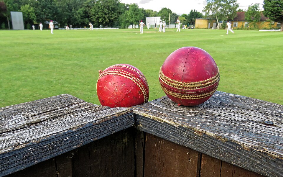 Cricket Chest Guard — Model 006 — ShopOfBD Bangladesh