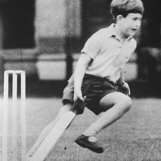 Cricket Shoes (Spikes) — Model 003 — ShopOfBD Bangladesh