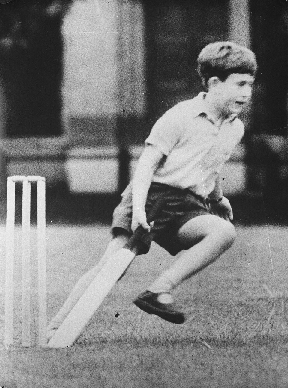 Cricket Shoes (Spikes) — Model 003 — ShopOfBD Bangladesh