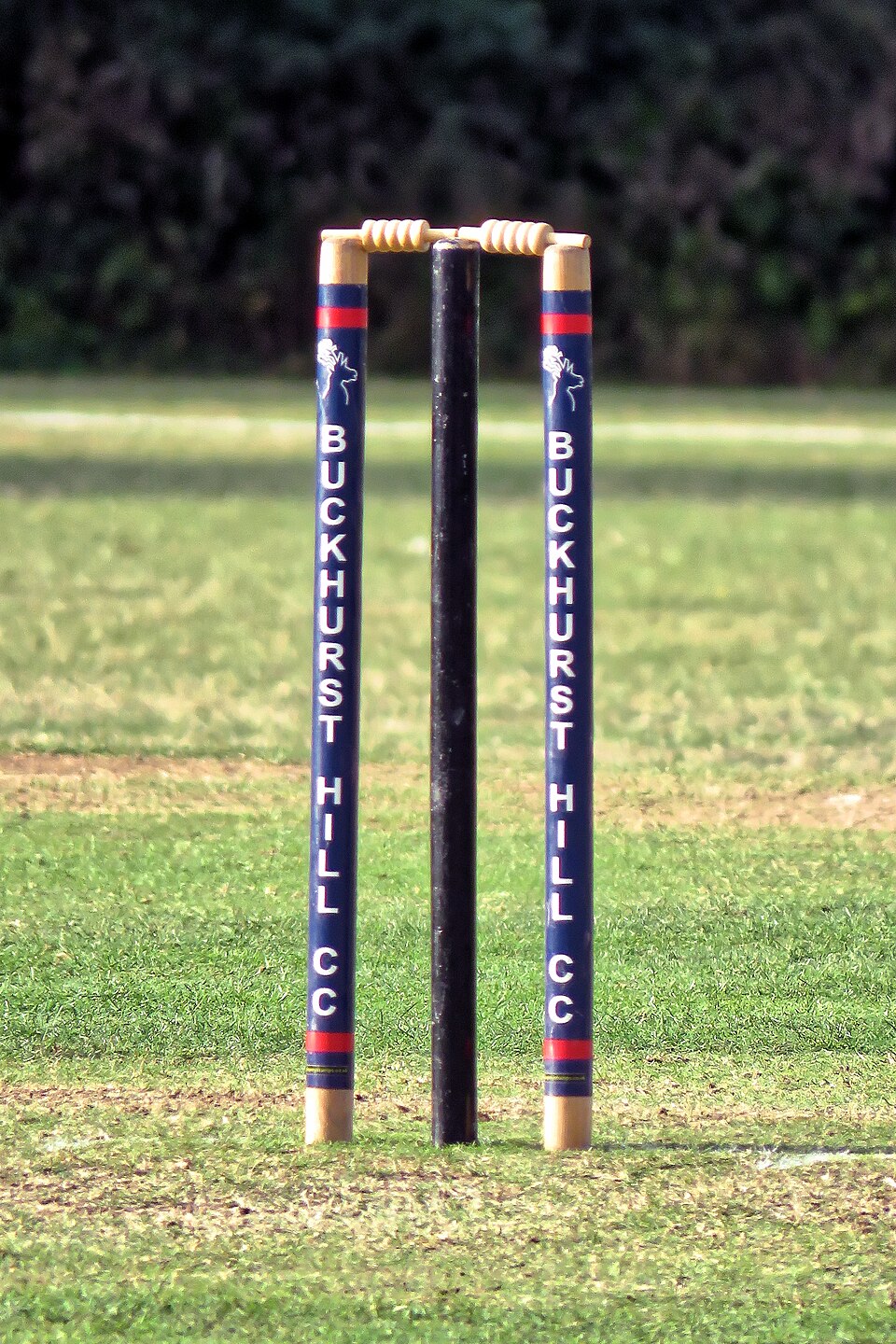 Cricket Stumps Set — Model 002 — ShopOfBD Bangladesh