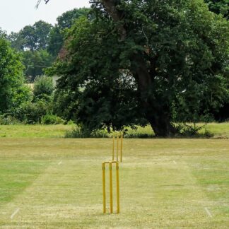 Cricket Stumps Set — Model 004 — ShopOfBD Bangladesh