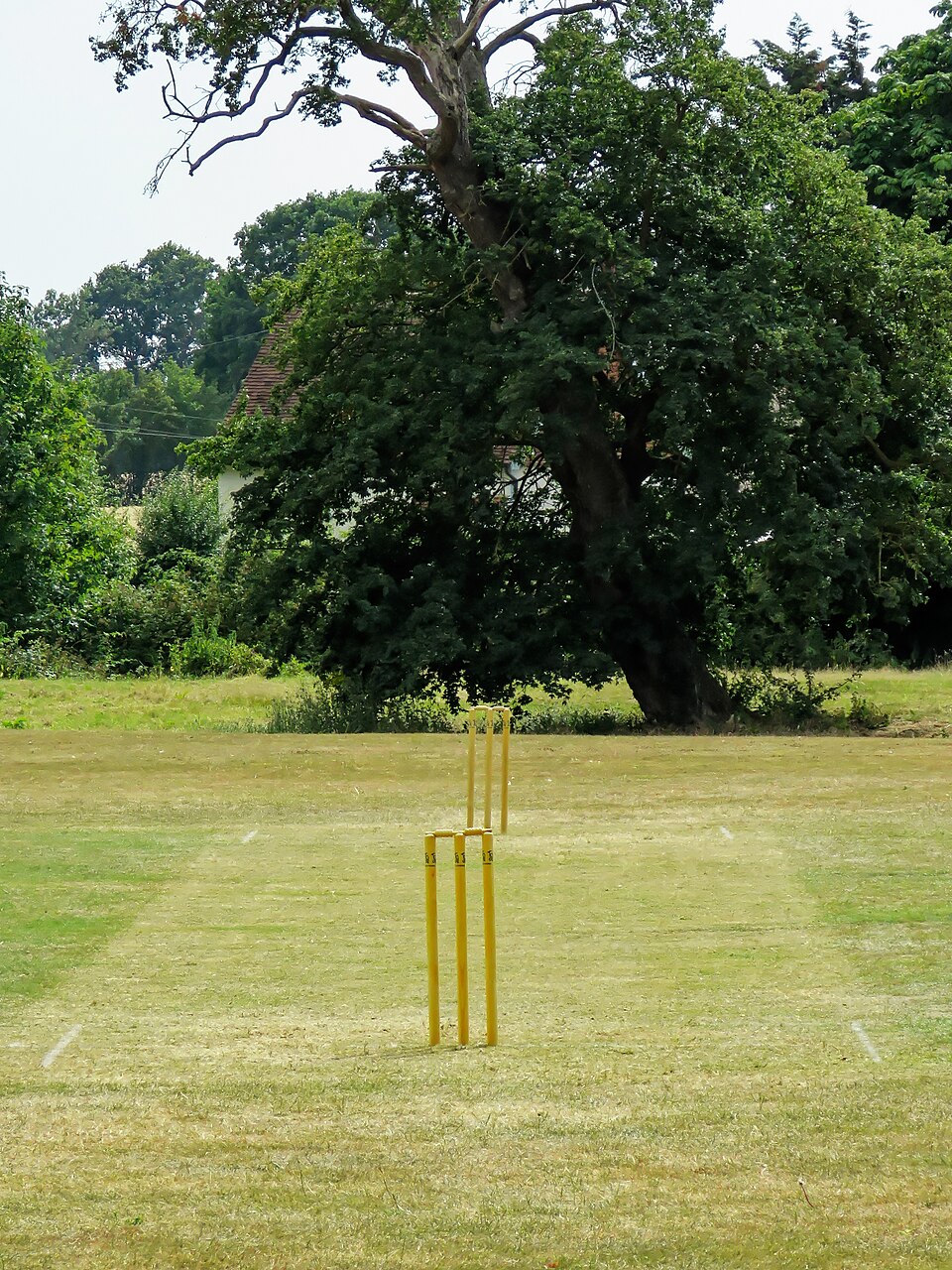Cricket Stumps Set — Model 004 — ShopOfBD Bangladesh