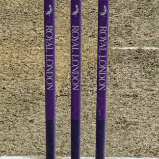 Cricket Stumps Set — Model 006 — ShopOfBD Bangladesh