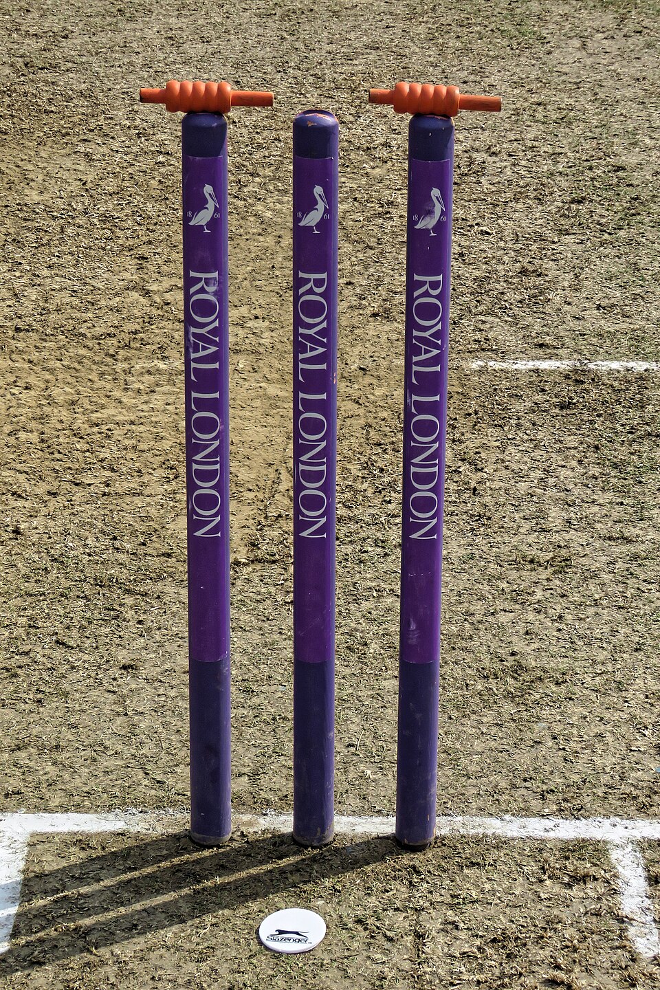 Cricket Stumps Set — Model 006 — ShopOfBD Bangladesh