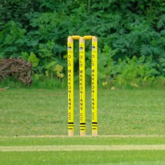 Cricket Stumps and Bails — Wooden Set — ShopOfBD Bangladesh
