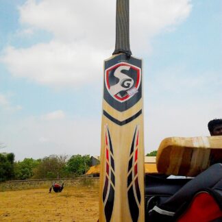 English Willow Cricket Bat — ShopOfBD Bangladesh