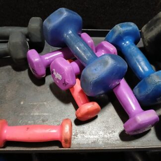 Fixed Dumbbell Pair — Model 002 — ShopOfBD Bangladesh