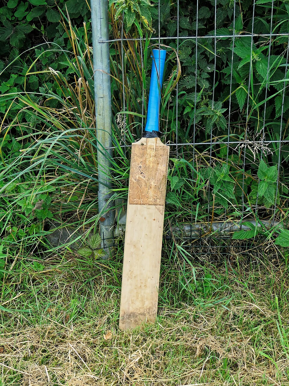 Gray-Nicolls Legend Cricket Bat — Model 002 — ShopOfBD Bangladesh
