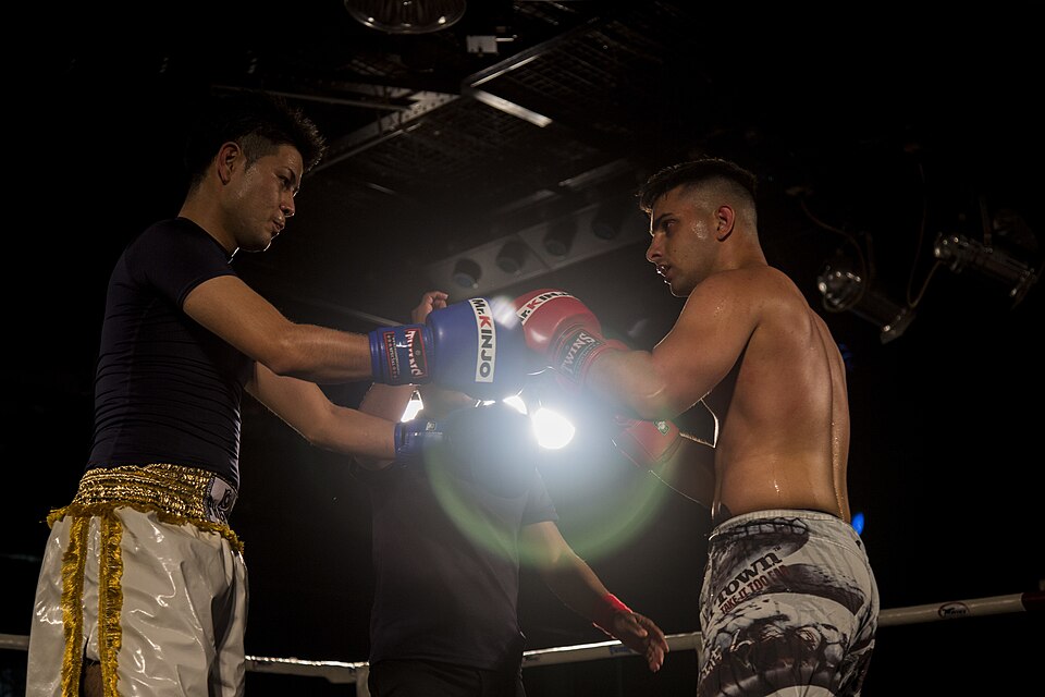 Gym Gloves (Pair) — Model 008 — ShopOfBD Bangladesh