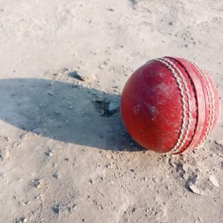 Leather Cricket Ball (Single) — ShopOfBD Bangladesh