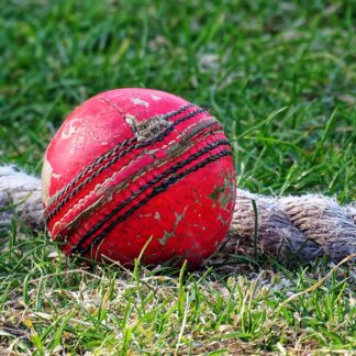 Leather Cricket Ball (Single) — Model 002 — ShopOfBD Bangladesh