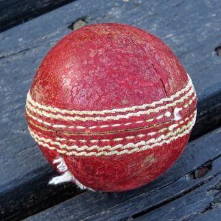 Leather Cricket Ball (Single) — Model 004 — ShopOfBD Bangladesh