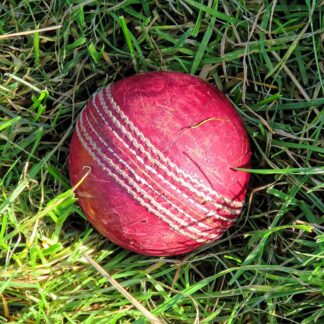 Leather Cricket Ball (Single) — Model 007 — ShopOfBD Bangladesh