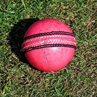 Leather Cricket Ball (Single) — Model 009 — ShopOfBD Bangladesh