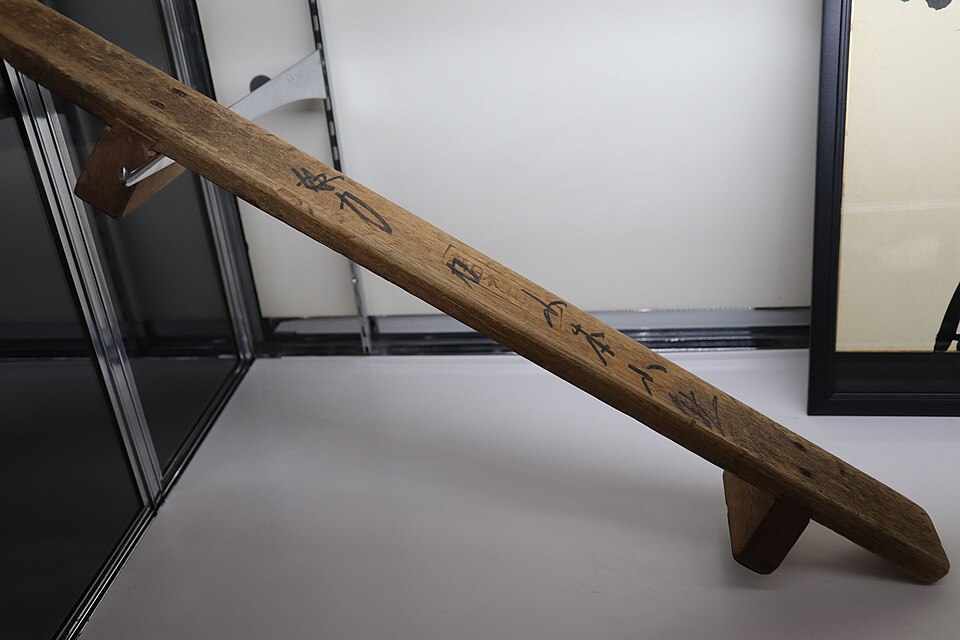 Push Up Bars (Pair) — Model 003 — ShopOfBD Bangladesh