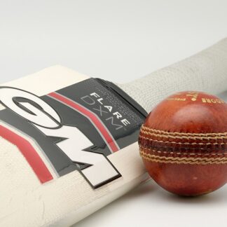 SG Players English Willow Bat — Model 004 — ShopOfBD Bangladesh