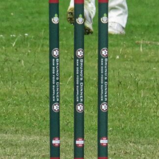 Spring Back Cricket Stumps — Training — Model 002 — ShopOfBD Bangladesh