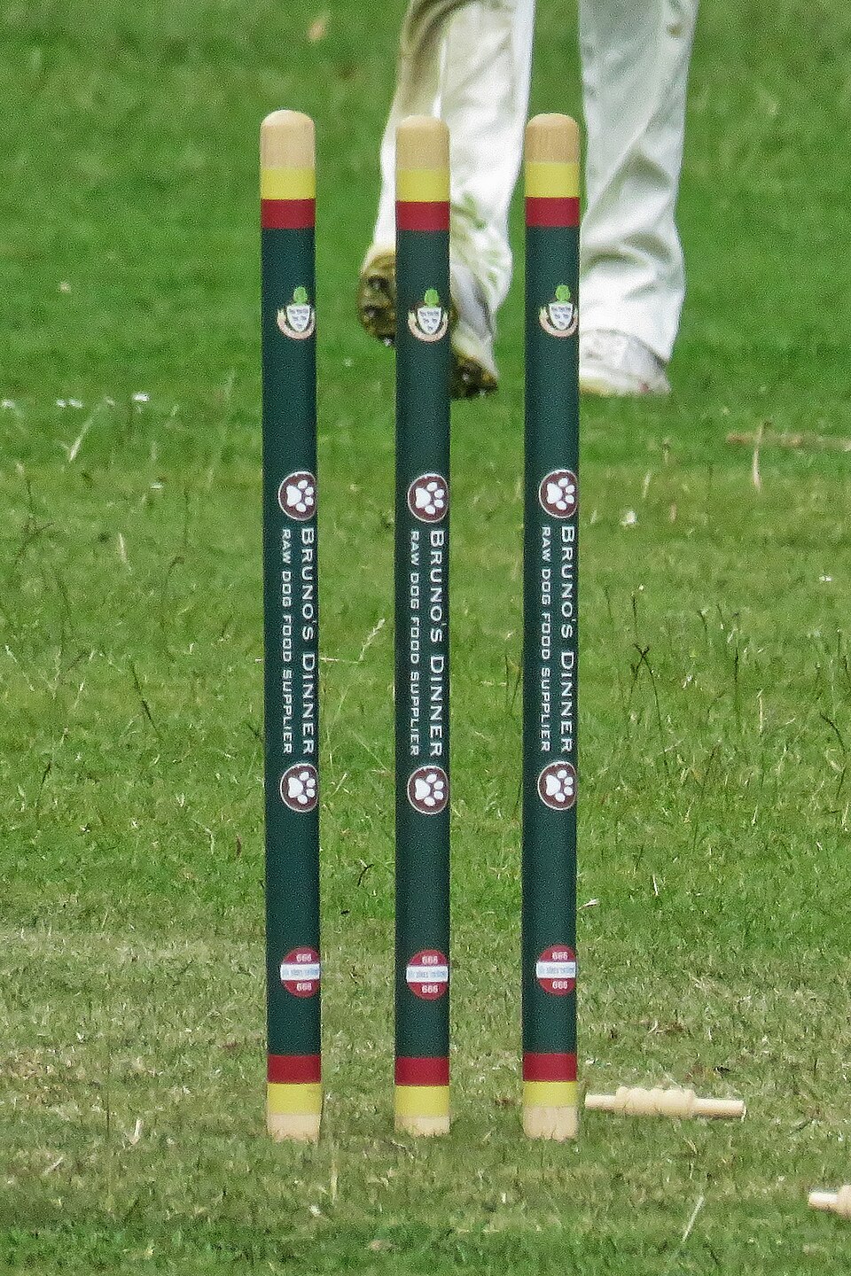 Spring Back Cricket Stumps — Training — Model 002 — ShopOfBD Bangladesh
