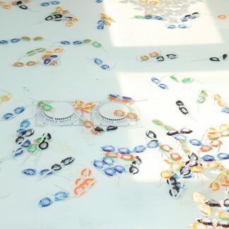Swimming Goggles — Model 003 — ShopOfBD Bangladesh