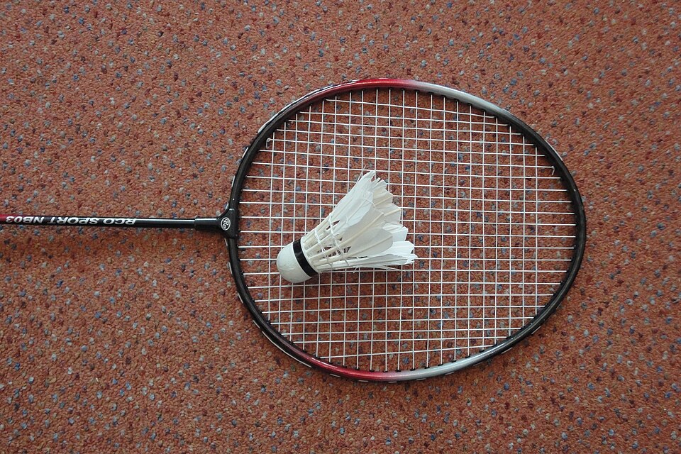 Victor Thruster Badminton Racket — Model 004 — ShopOfBD Bangladesh