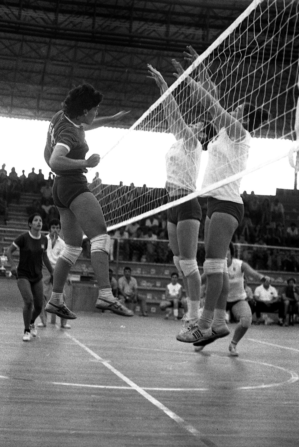 Volleyball — Official — Model 005 — ShopOfBD Bangladesh