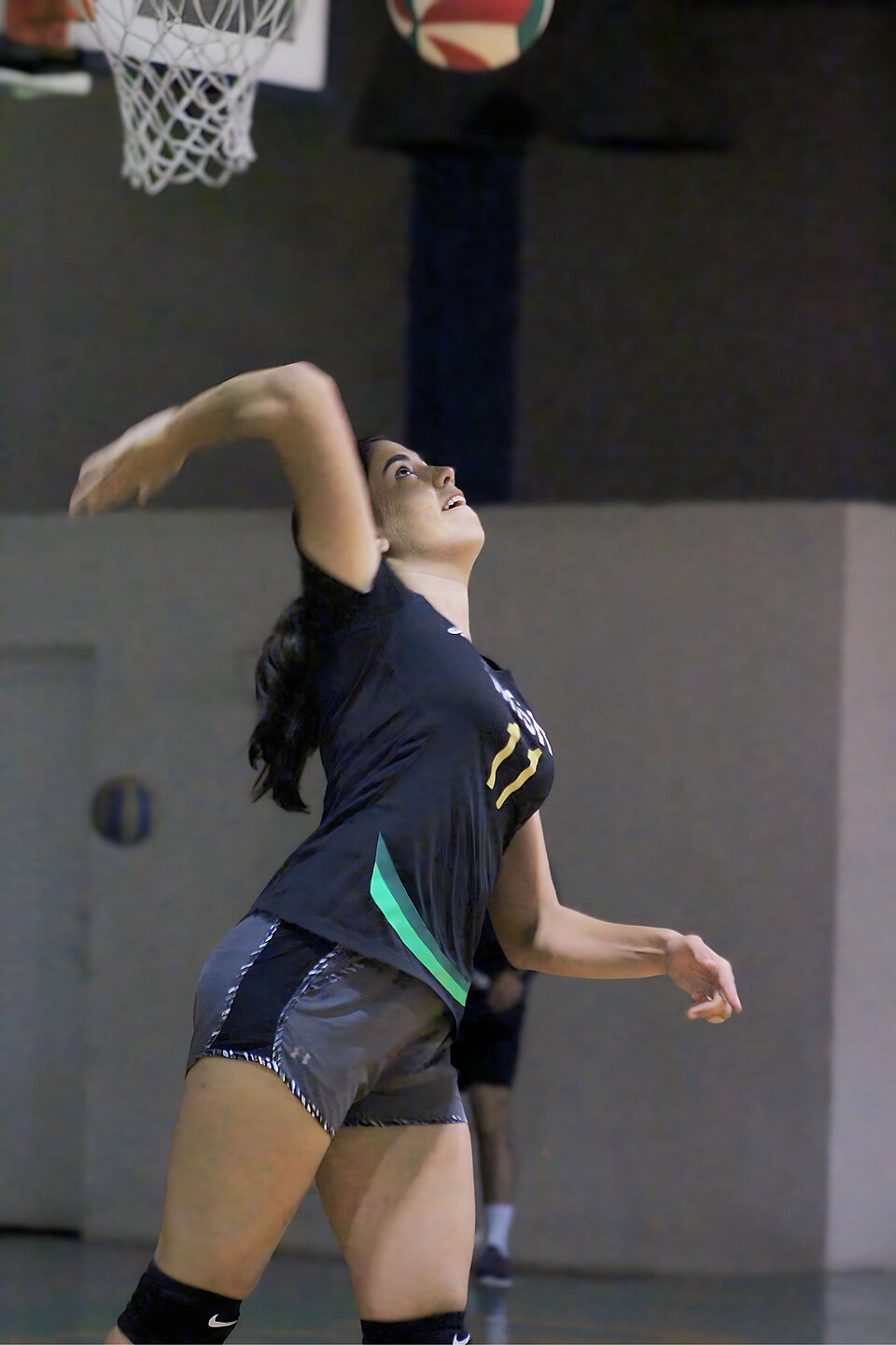 Volleyball — Official — Model 006 — ShopOfBD Bangladesh