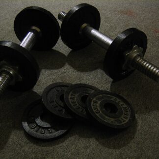 Weight Plate 10kg — Model 003 — ShopOfBD Bangladesh