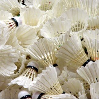 Yonex Aerosensa Feather Shuttlecock — Model 002 — ShopOfBD Bangladesh